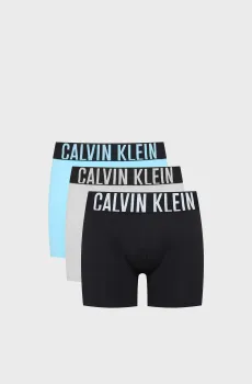 Мужские боксеры (3 шт) Разноцветный XXL Calvin Klein 000NB3609A
