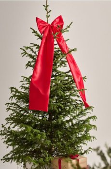 Бант на ялинку - червоний