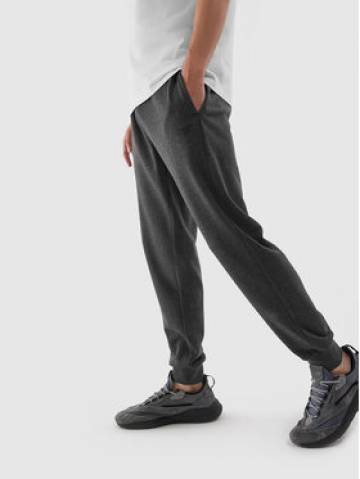 4F Спортивні штани 4FAW23TTROM451 Сірий Regular Fit 4F Спортивні штани 4FAW23TTROM451 Сірий Regular Fit