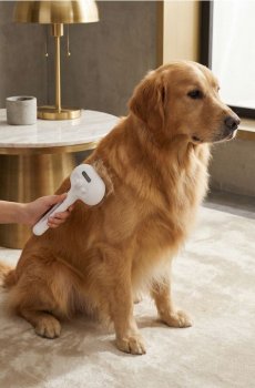 Електронна щітка для тварин з функцією водяного туману - сірий