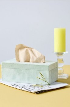 Велюрова коробка для серветок - світло-зелений