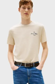 Мужская бежевая футболка OUTLINE FLAG SCRIPT Бежевый L Tommy Hilfiger MW0MW39360