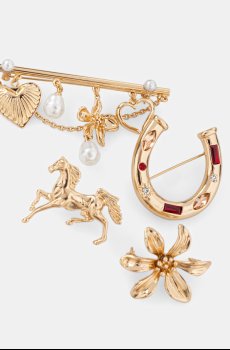 Броши Aldo LUNASTEED 4 шт