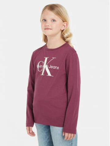 Calvin Klein Jeans Блузка IU0IU00521 Фіолетовий Regular Fit Calvin Klein Jeans Блузка IU0IU00521 Фіолетовий Regular Fit