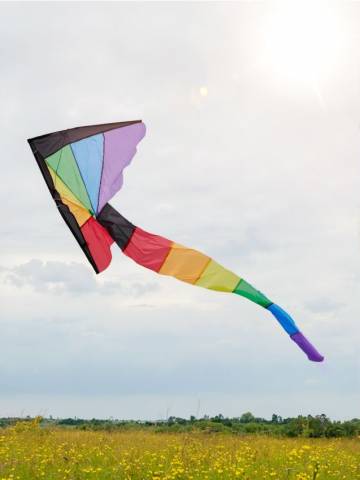 Повітряний змій - різнобарвний