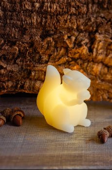 Набор светодиодных праздничных украшений Sirius Evelyn Egern 2 шт