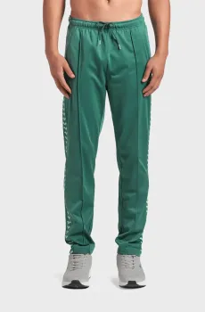 Мужские зеленые спортивные брюки RELAX IV TEAPANT Зеленый M Arena 002699-661