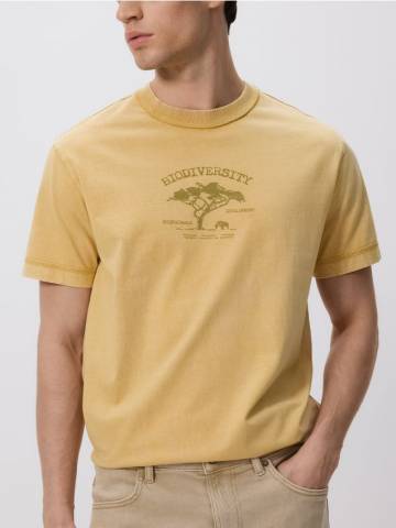 Reserved - Комфортна футболка з принтом - жовтий - 420EF-11X