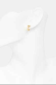 Сережки Coach