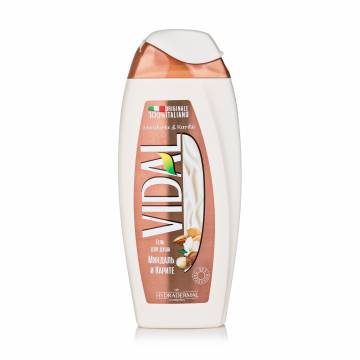Гель для душа Vidal Mandorla & Karite Shower Gel Миндаль и карите, 250 мл Гель для душа Vidal Mandorla & Karite Shower Gel Миндаль и карите, 250 мл