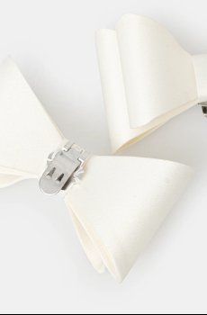 Значки для обуви Aldo TALOBARAEN 2 шт