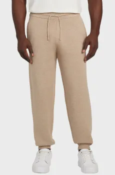 Мужские бежевые спортивные брюки Бежевый S Guess Z5BB05.Z0960;G9D0