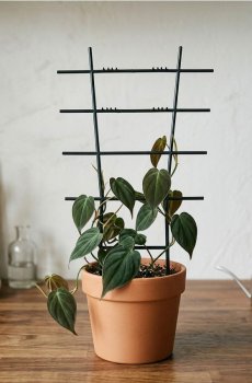 Рослинна решітка - чорний