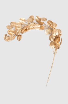 Декоративная ветвь эвкалипта