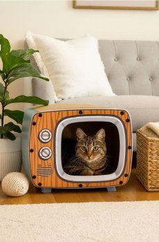 Кігтеточка для кота - золотисто-коричневий