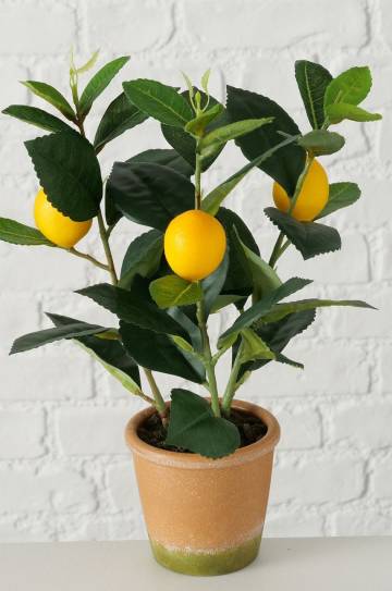 Boltze Искусственное дерево в горшке Lemon Boltze Искусственное дерево в горшке Lemon