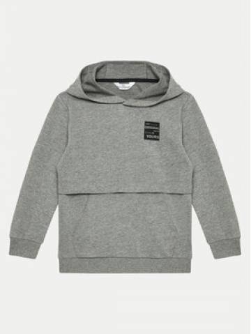 Coccodrillo Світшот ZC4132301VBA Сірий Regular Fit Coccodrillo Світшот ZC4132301VBA Сірий Regular Fit