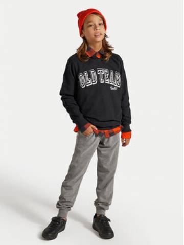 Coccodrillo Спортивні штани ZC4120104VBA Сірий Slim Fit Coccodrillo Спортивні штани ZC4120104VBA Сірий Slim Fit