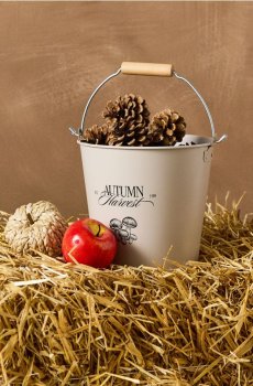 Металеве відро з ручкою та написом «Autumn Harvest» - бежевий
