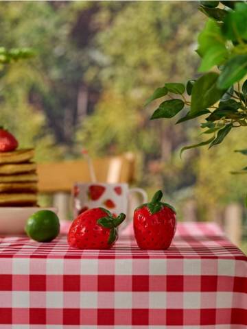 Сільничка і перечниця - червоний Сільничка і перечниця - червоний