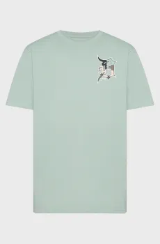 Мятная футболка DETROIT TIGERS (унисекс) Ментоловый M 47 Brand 643630K2-FS