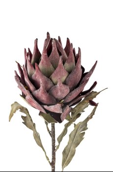 Искусственное растение Bloomingville Protea Stem 76 cm