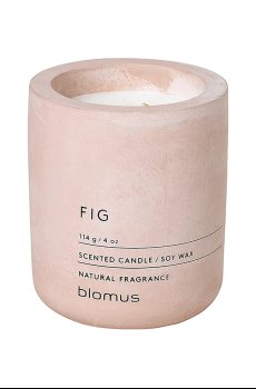 Ароматическая соевая свеча Blomus Fraga Rose Dust S 114 g