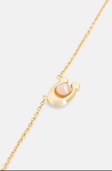 Цепочка Coach