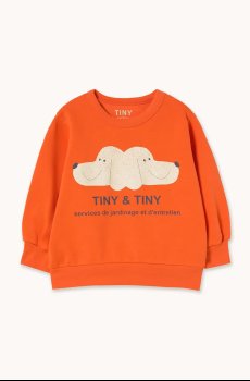 Детская хлопковая кофта Tinycottons TINY&TINY GRAPHIC SWEATSHIRT