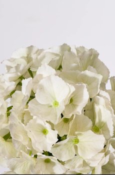 Искусственный цветок House Doctor HDHydrangea 22 x 50 cm