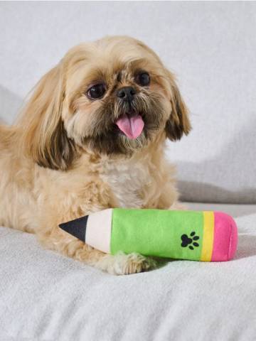 Іграшки для собак 2 шт. - різнобарвний Іграшки для собак 2 шт. - різнобарвний