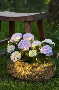 Гирлянда Sirius Knirke Cluster 160L