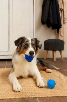 Іграшка для домашніх тварин - гіацинтовий