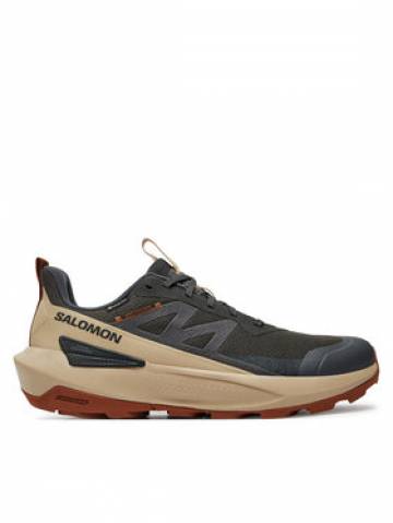 Salomon Снікерcи Elixir Activ Gore-Tex L47560400 Сірий Salomon Снікерcи Elixir Activ Gore-Tex L47560400 Сірий