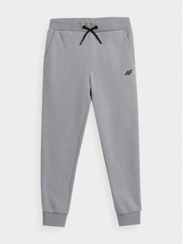 4F Спортивні штани 4FJAW23TTROM411 Сірий Regular Fit 4F Спортивні штани 4FJAW23TTROM411 Сірий Regular Fit