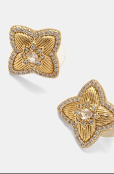 Сережки Aldo CAREVER