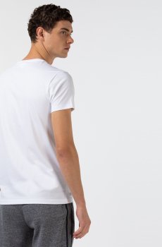 Lacoste футболка чоловіча