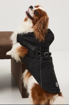 Куртка для питомца Medicine