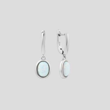 Серебряные серьги Minimal FE20877 Серебряные серьги Minimal FE20877