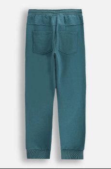 Детские спортивные штаны Coccodrillo