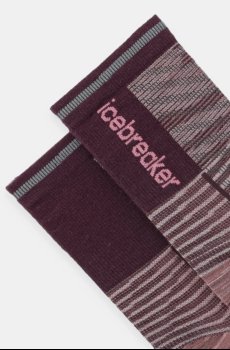 Носки Icebreaker Run+