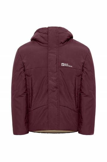 Детская зимняя куртка Jack Wolfskin цвет фиолетовый A61847 Детская зимняя куртка Jack Wolfskin цвет фиолетовый A61847