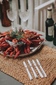 Набор ножей для моллюсков Dorre 4 шт