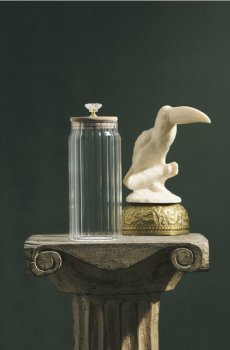 Банка з Кришкою - clear