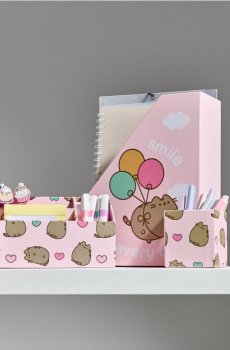 Набір настільних органайзерів Pusheen the Cat - рожевий