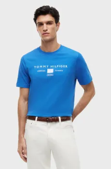Мужская голубая футболка BRAND LOVE MONO STACK Голубой XL Tommy Hilfiger MW0MW42365