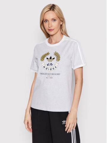 adidas Футболка Graphic HL6554 Сірий Loose Fit adidas Футболка Graphic HL6554 Сірий Loose Fit