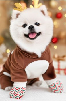 Одяг для собаки з мотивом оленя - золотисто-коричневий