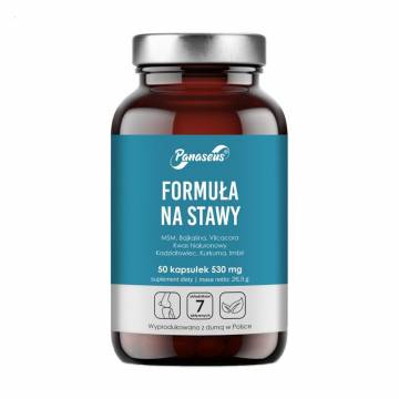 Формула для суставов Panaseus Formula for Joints 530 мг, 50 капсул Формула для суставов Panaseus Formula for Joints 530 мг, 50 капсул