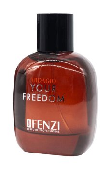 Jfenzi Ardagio Your Freedom Парфюмированная вода мужская, 100 мл